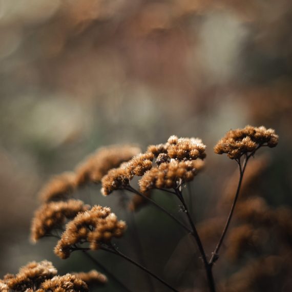 aedrian-tfQSjhsMDTo-unsplash (1)